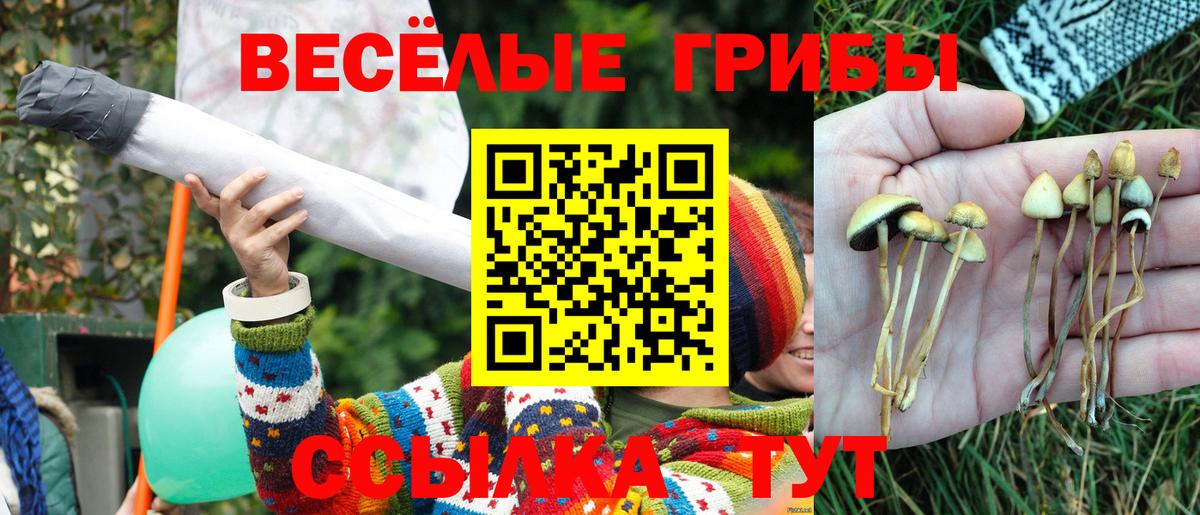 Советский  Галлюциногенные грибы мицелий  купить наркоту  Вход с VPN 