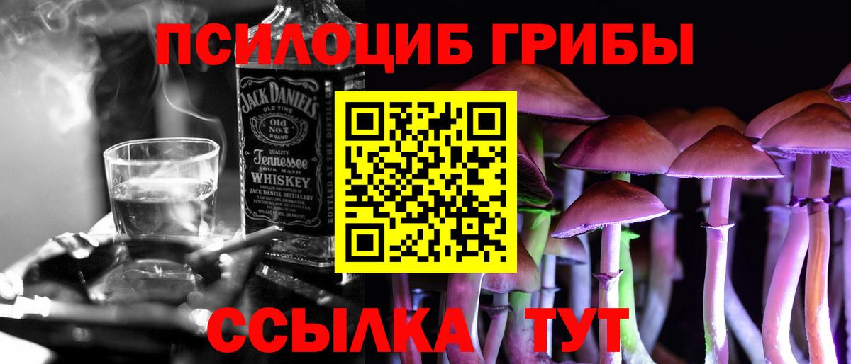 Галлюциногенные грибы Psilocybine cubensis Советский